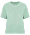 NS328 Native Spirit Ladies Terry Towel T-Shirt brook green colour image